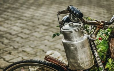 Elegancia y funcionalidad en un ambiente rústico