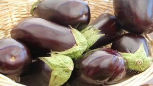 Antipasti from Eggplant to Basilico