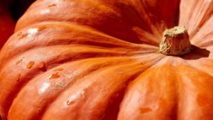 Pumpkin soup (crema de calabaza)