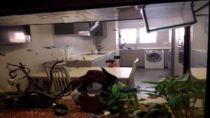 A kitchen in Vendrell with sea views