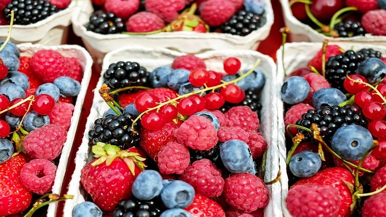 Raspberry Panna-cotta